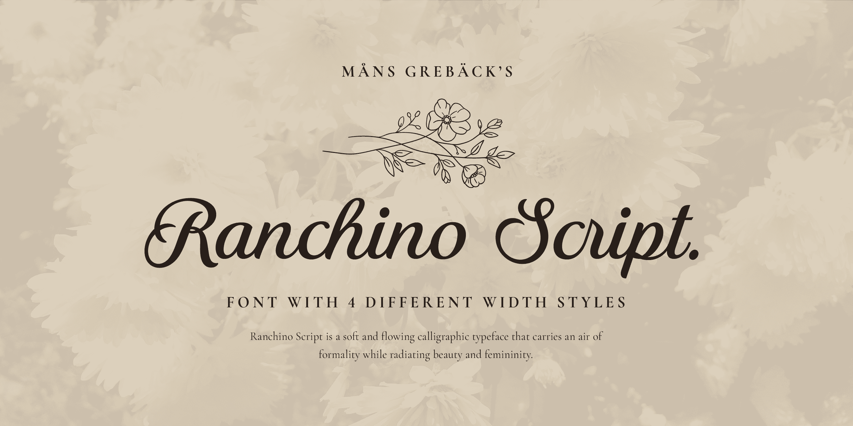 Ranchino Script Font | Free Font Download | Download Thousands of Fonts for Free Sample Image