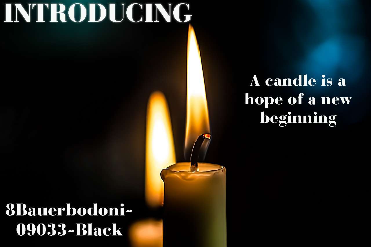 8 Bauer Bodoni Black 09033 Font | Free Font Download | Download Thousands of Fonts for Free Sample Image