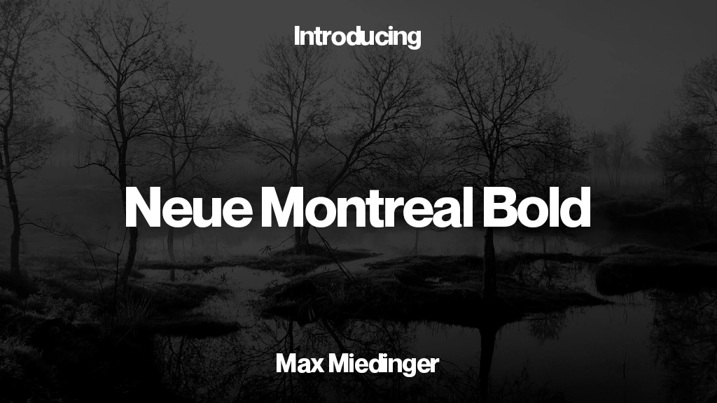 Neue Montreal Bold Font | Free Font Download | Download Thousands of Fonts for Free Sample Image