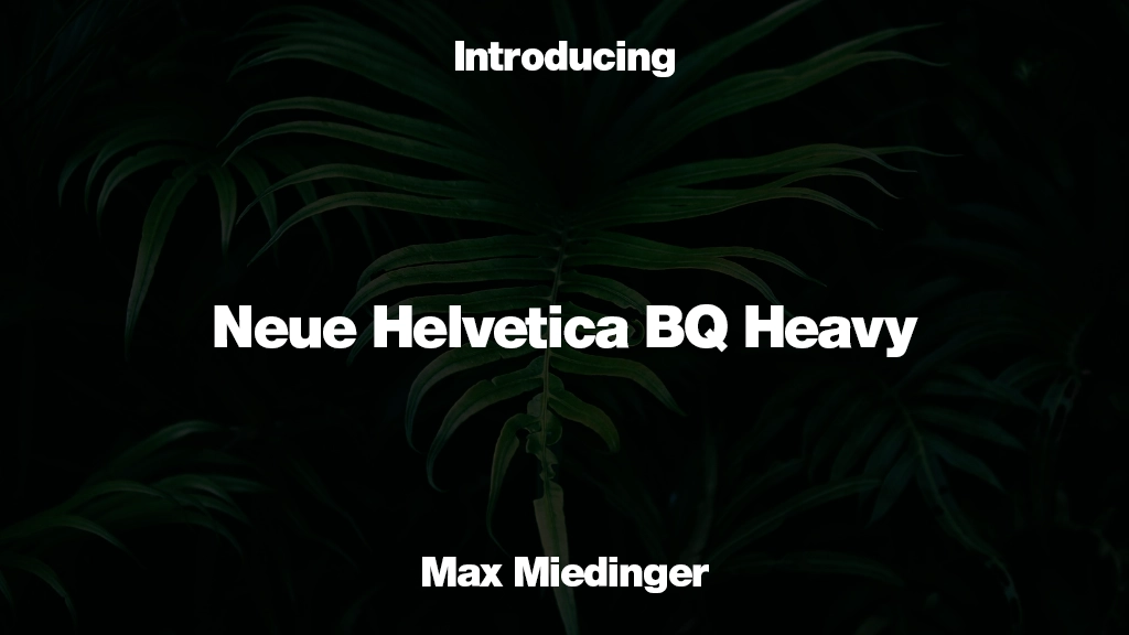 Neue Helvetica BQ Heavy Font | Free Font Download | Download Thousands of Fonts for Free Sample Image