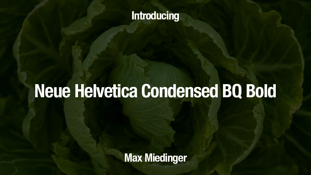 Neue Helvetica Condensed BQ Bold Font | Free Font Download | Download Thousands of Fonts for Free Sample Image