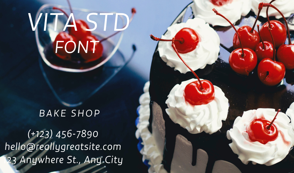 Vita Std Italic Font | Free Font Download | Download Thousands of Fonts for Free Sample Image