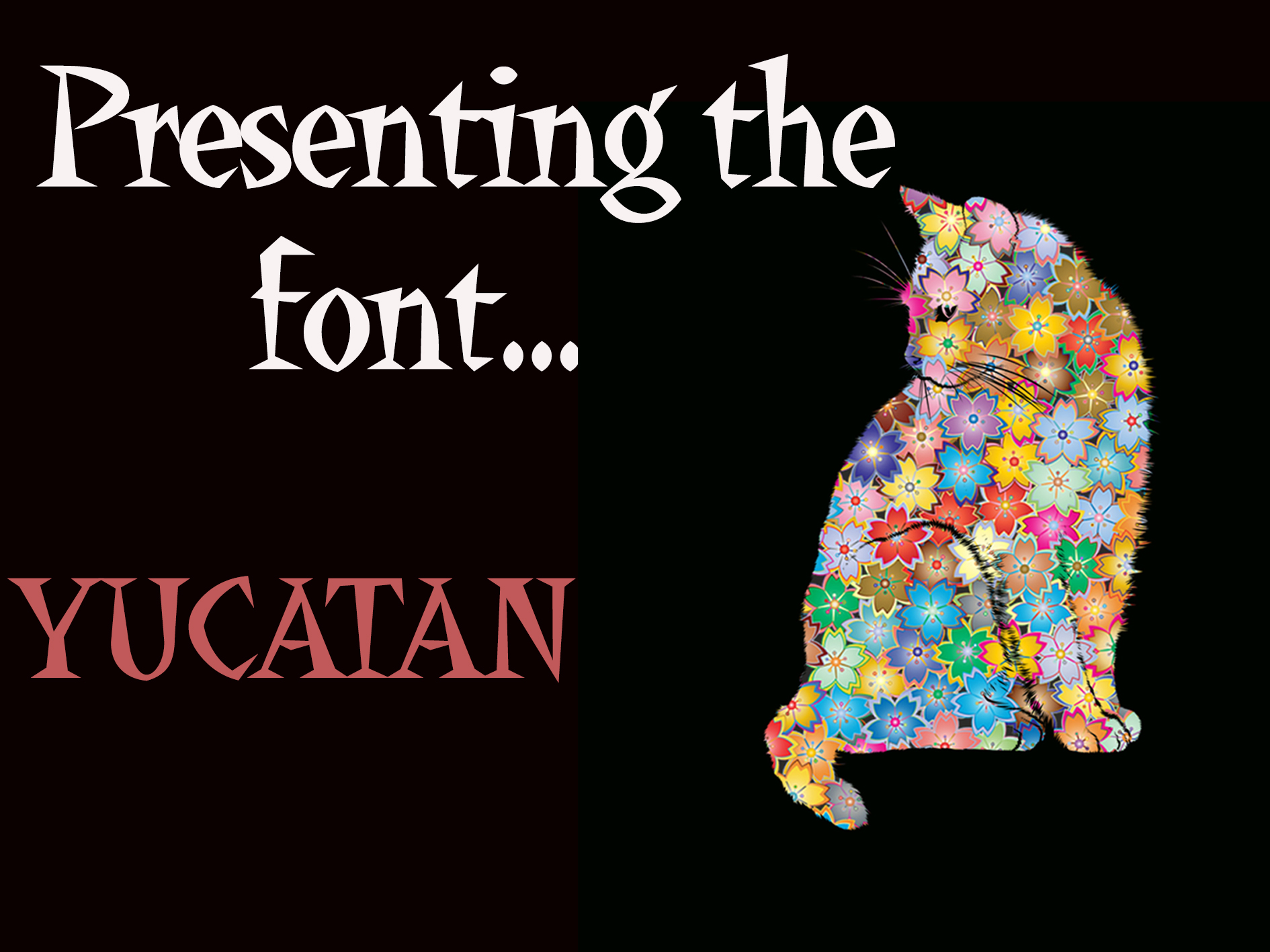 Yucatan Font | Free Font Download | Download Thousands of Fonts for Free Sample Image