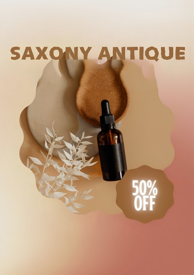Saxony Antique Xbold Font | Free Font Download | Download Thousands of Fonts for Free Sample Image
