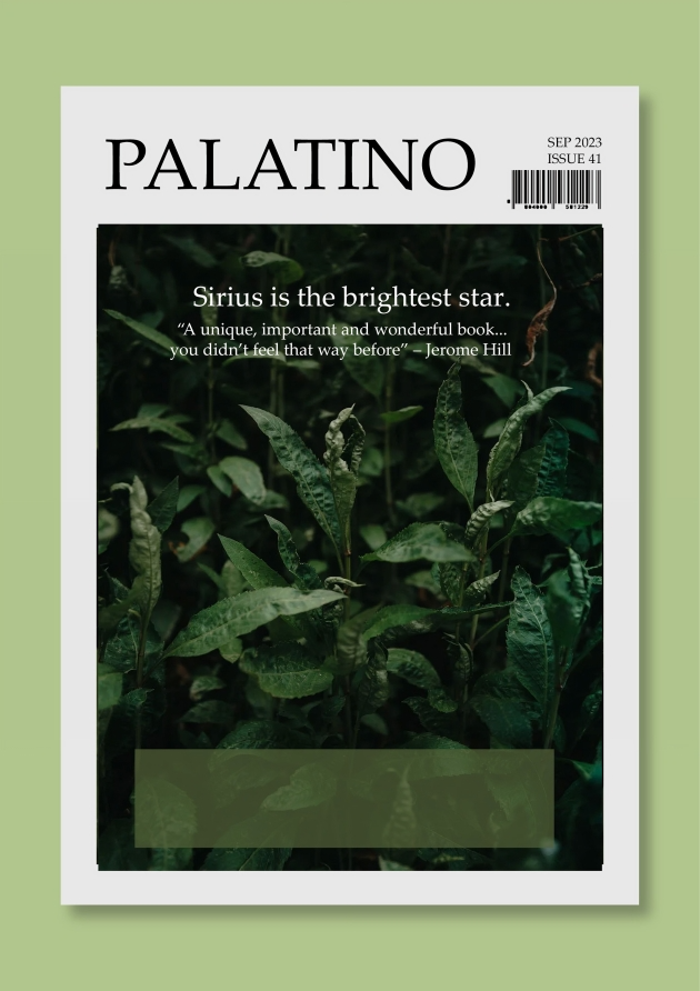 Palatino Bold Font | Free Font Download | Download Thousands of Fonts for Free Sample Image