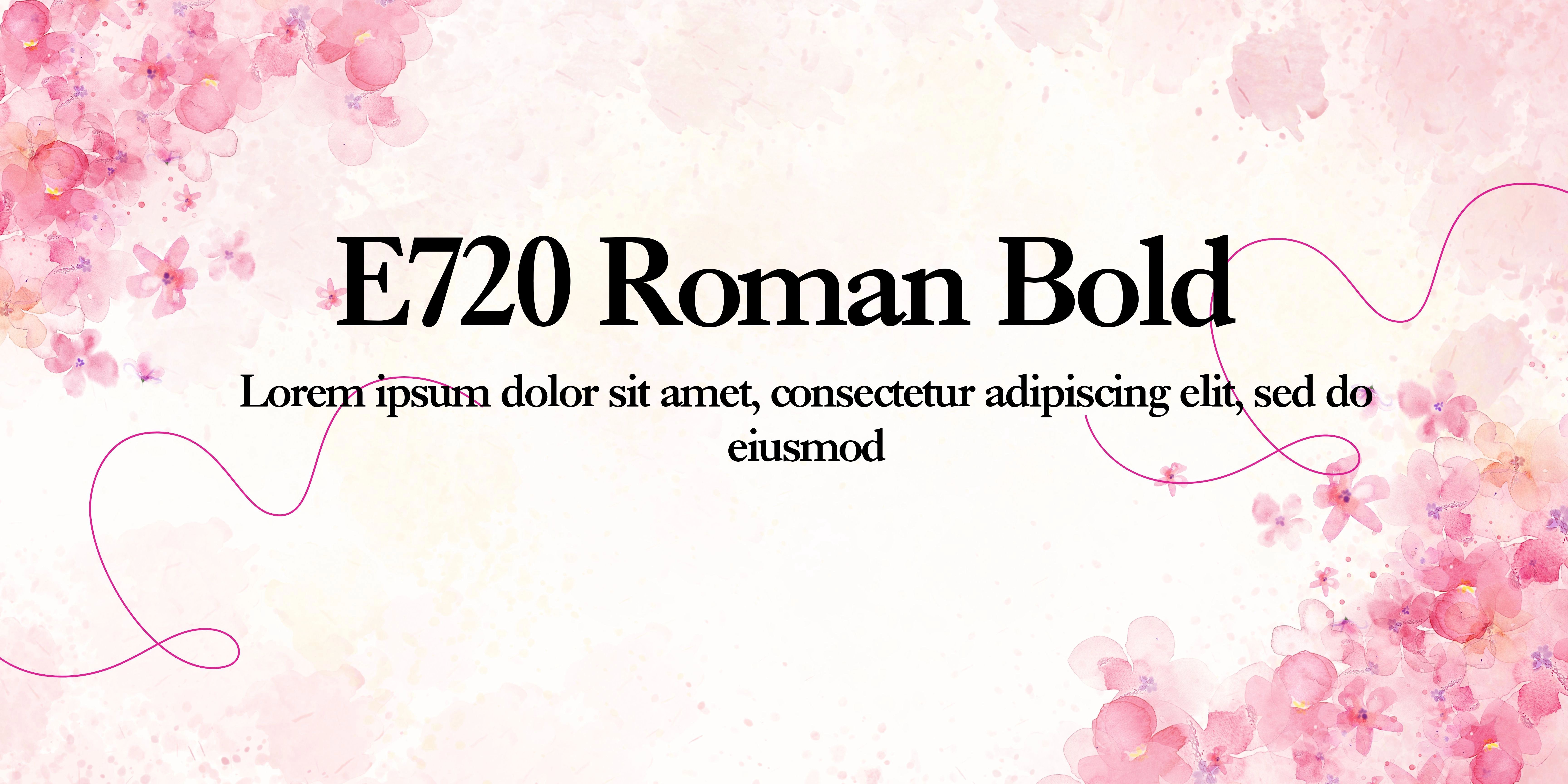 E720 Roman Bold Font | Free Font Download | Download Thousands of Fonts for Free Sample Image