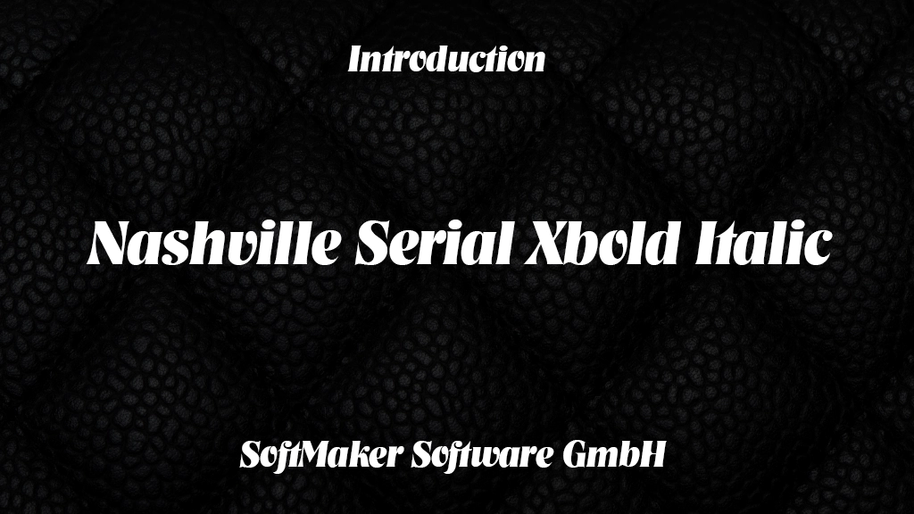 Nashville Serial Xbold Italic Font | Free Font Download | Download Thousands of Fonts for Free Sample Image
