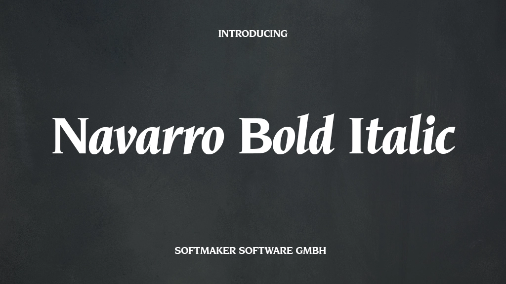 Navarro Bold Italic Font | Free Font Download | Download Thousands of Fonts for Free Sample Image