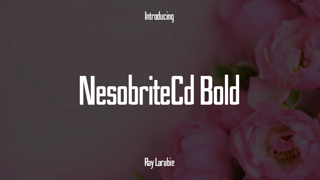NesobriteCd Bold Font | Unduh Font Gratis | Unduh Ribuan Font Gratis Sample Image