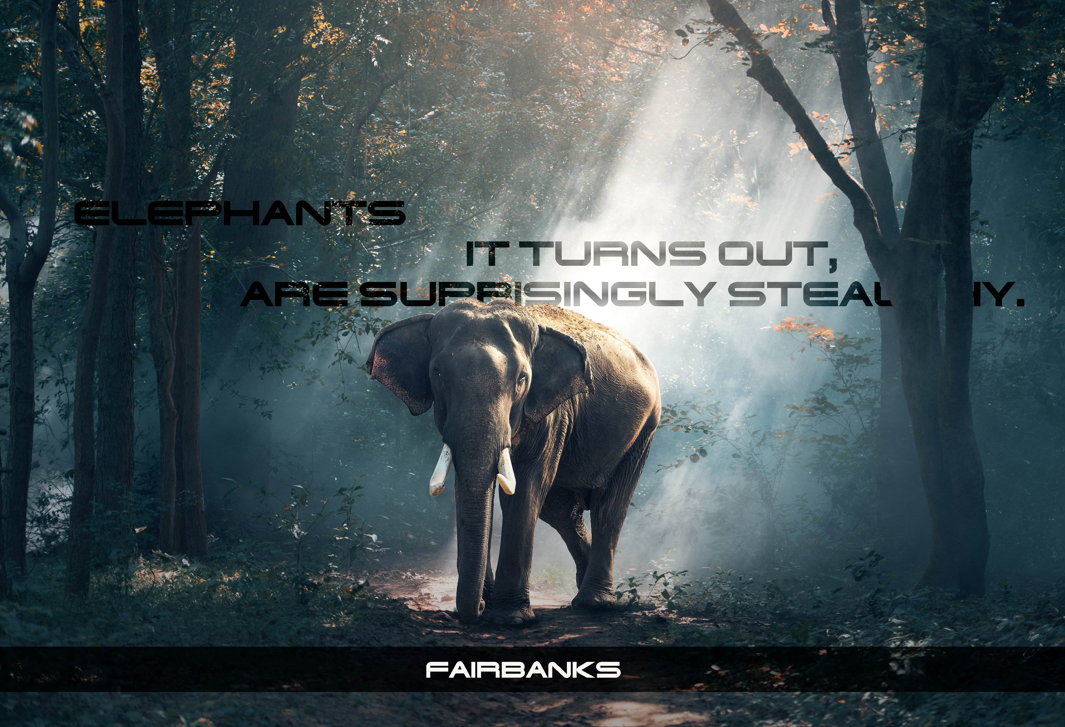 FAIRBANKS Font | Free Font Download | Download Thousands of Fonts for Free Sample Image