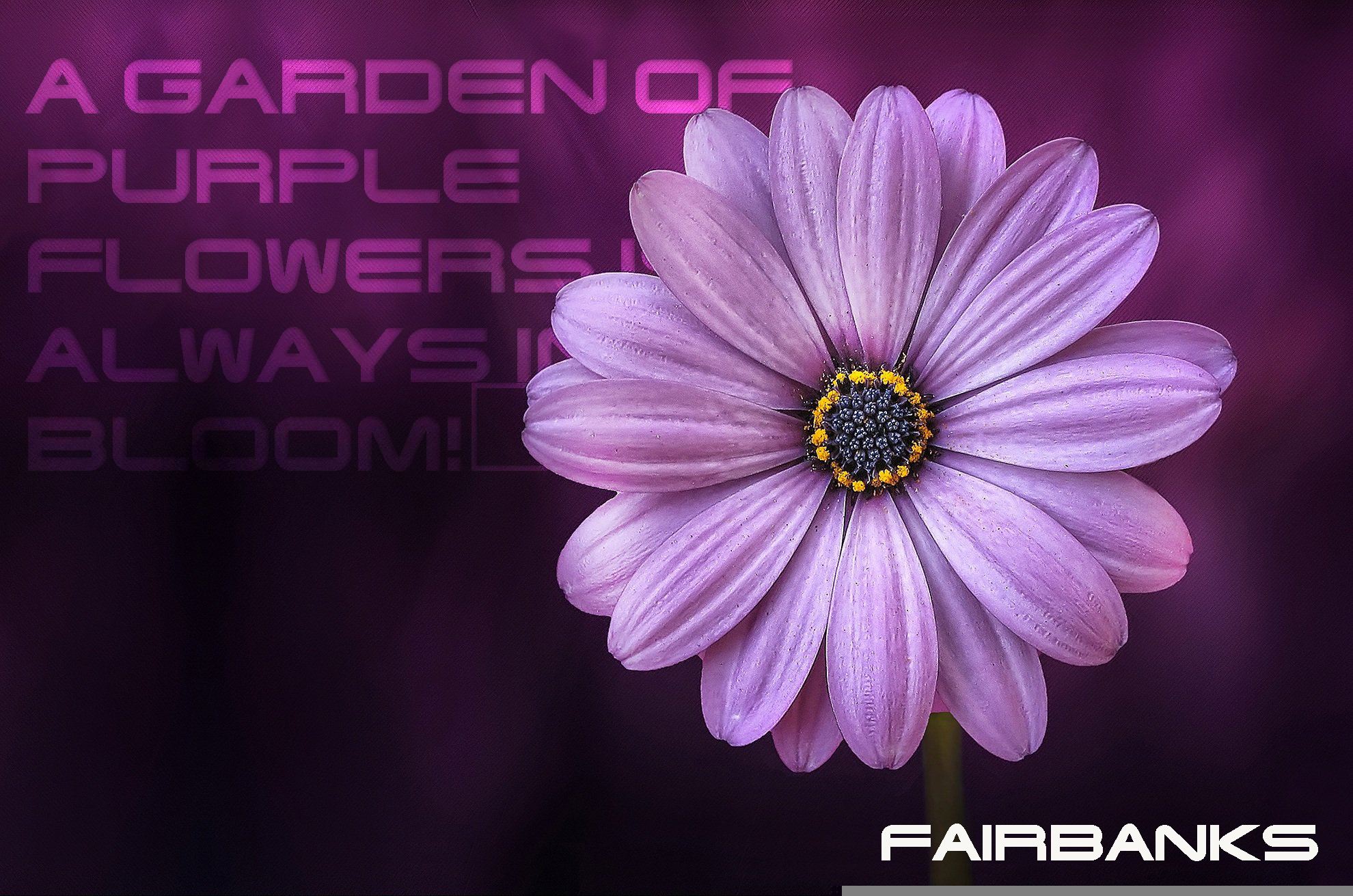FAIRBANKS Font | Free Font Download | Download Thousands of Fonts for Free Sample Image