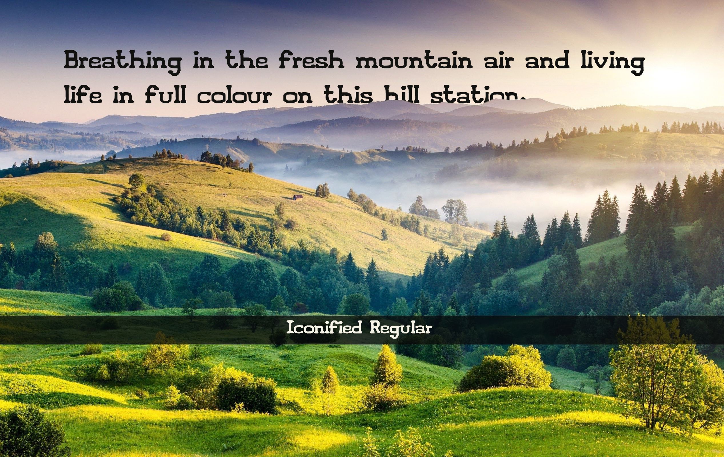Iconified Font | Free Font Download | Download Thousands of Fonts for Free Sample Image