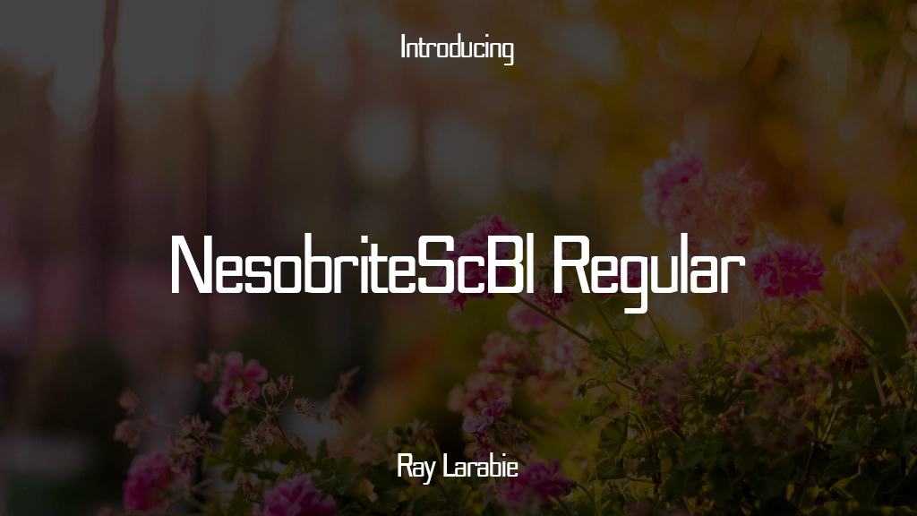 NesobriteScBl Regular Font | Free Font Download | Download Thousands of Fonts for Free Sample Image