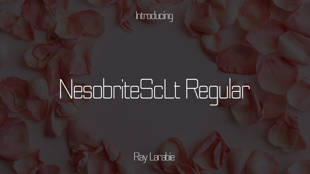 NesobriteScLt Regular Font | Free Font Download | Download Thousands of Fonts for Free Sample Image