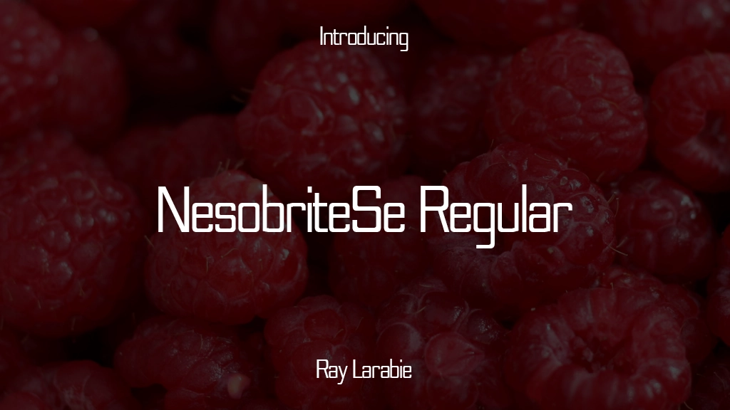 NesobriteSe Regular Font | Free Font Download | Download Thousands of Fonts for Free Sample Image