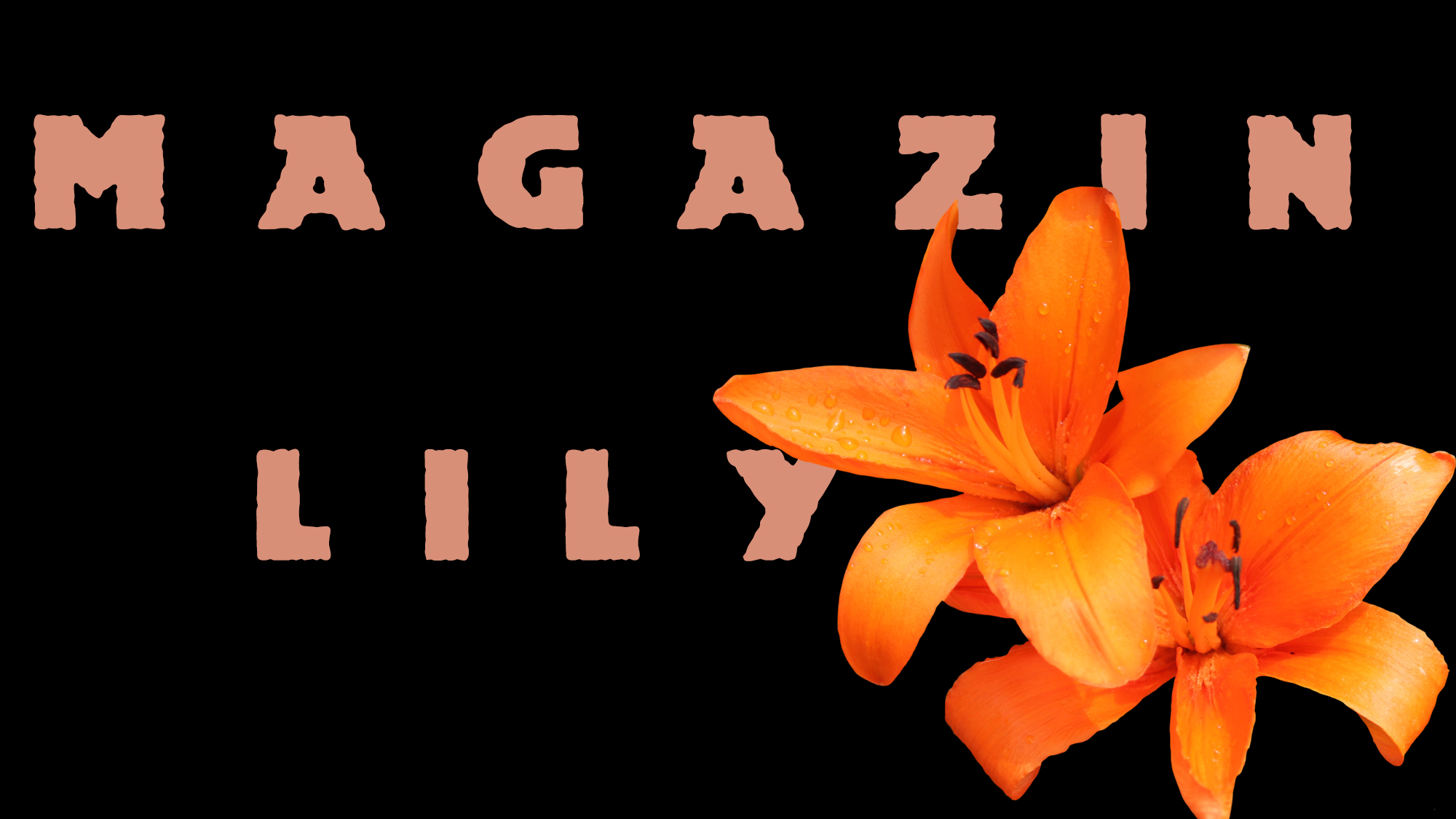 MAGAZIN CAPS Font | Free Font Download | Download Thousands of Fonts for Free Sample Image