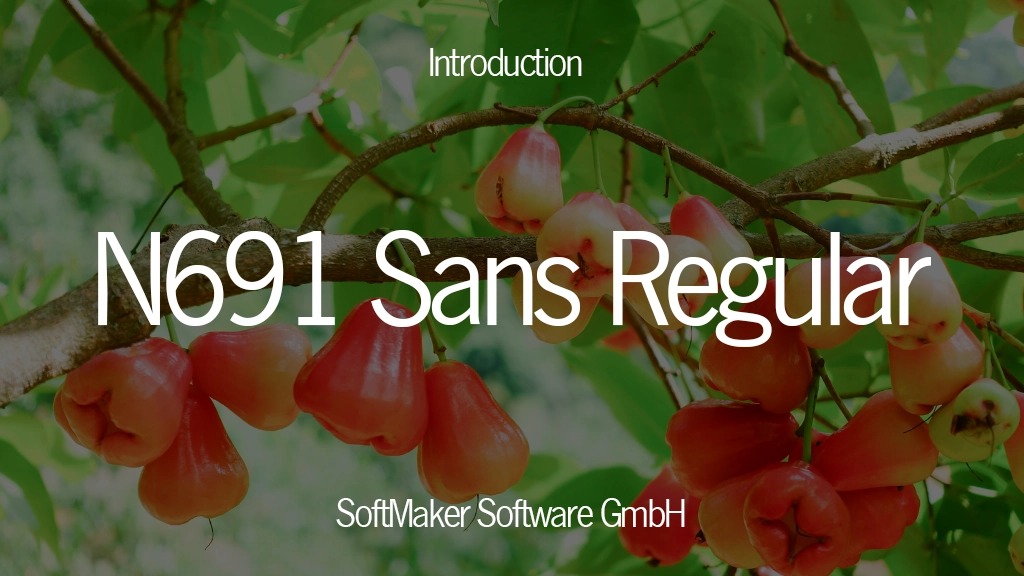 N691 Sans Regular Font | Free Font Download | Download Thousands of Fonts for Free Sample Image