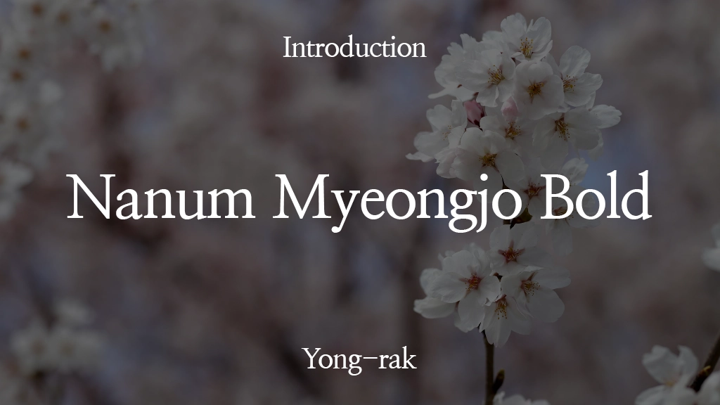 Nanum Myeongjo Bold Font | Free Font Download | Download Thousands of Fonts for Free Sample Image