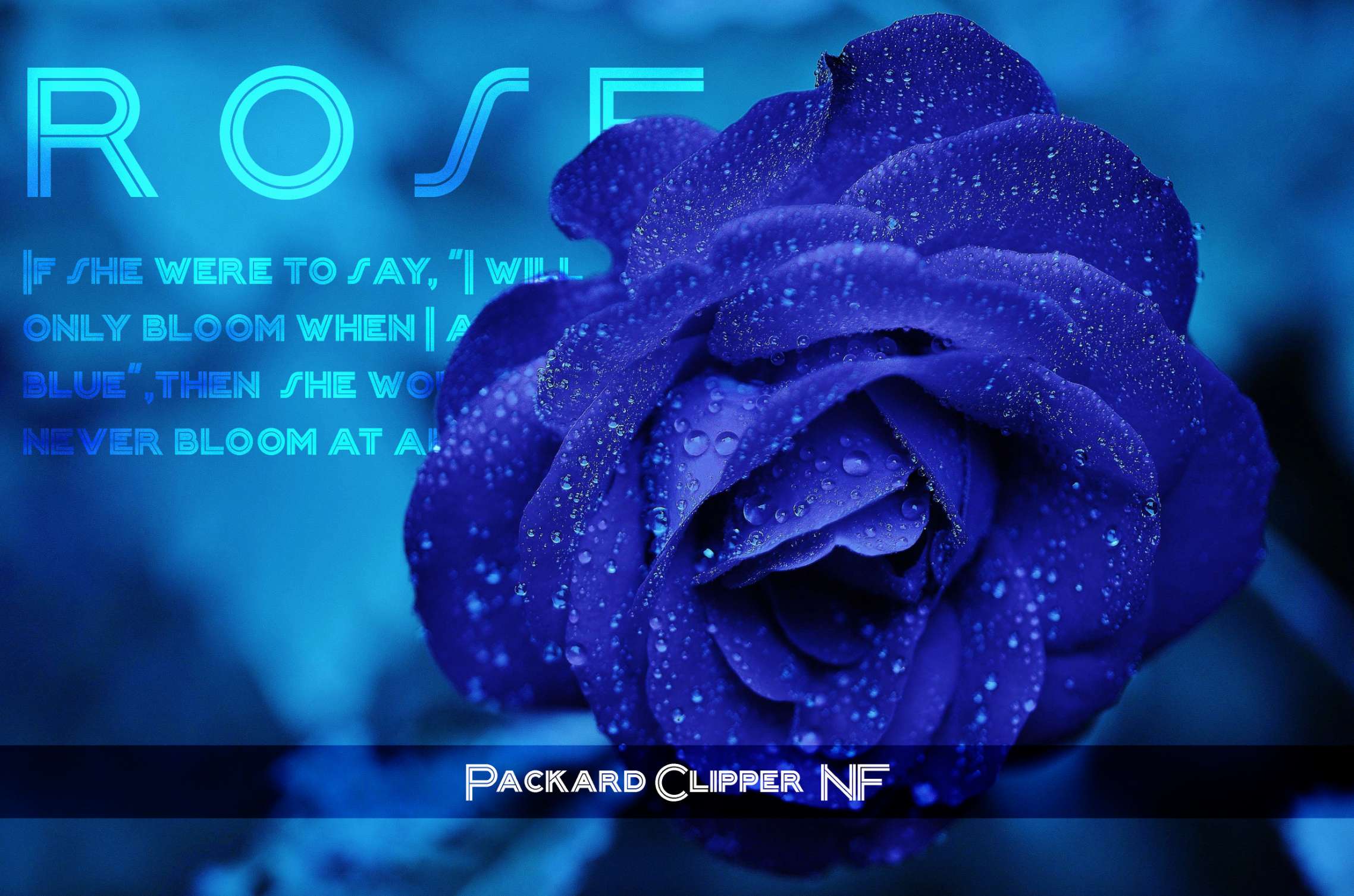 Packard Clipper NF Font | Free Font Download | Download Thousands of Fonts for Free Sample Image